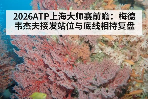 2026ATP上海大师赛前瞻：梅德韦杰夫接发站位与底线相持复盘